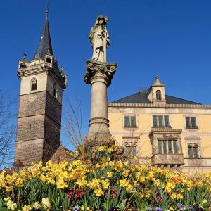 Obernai - Perturbation sur le réseau Gaz