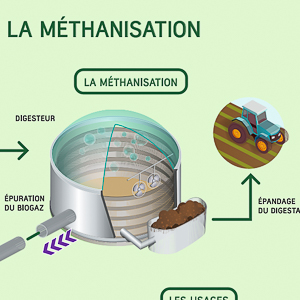 Les étapes clés de la méthanisation 